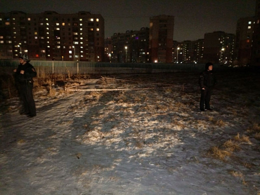 В Московском найден предмет, похожий на гранату